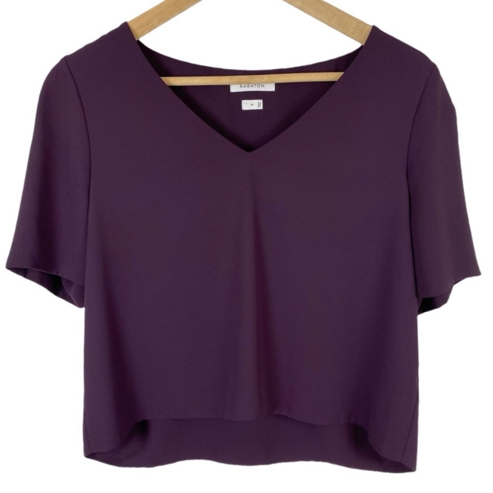 Aritzia Babaton V-neck Cropped Blouse Medium
